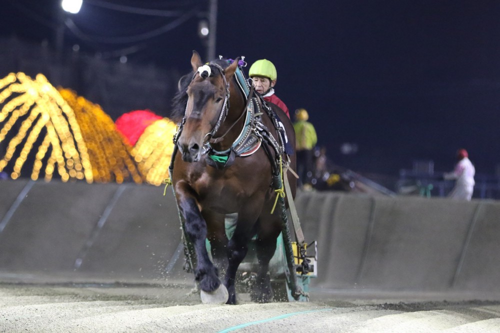 第42回北見記念 Bg2 の結果 公式 ばんえい十勝