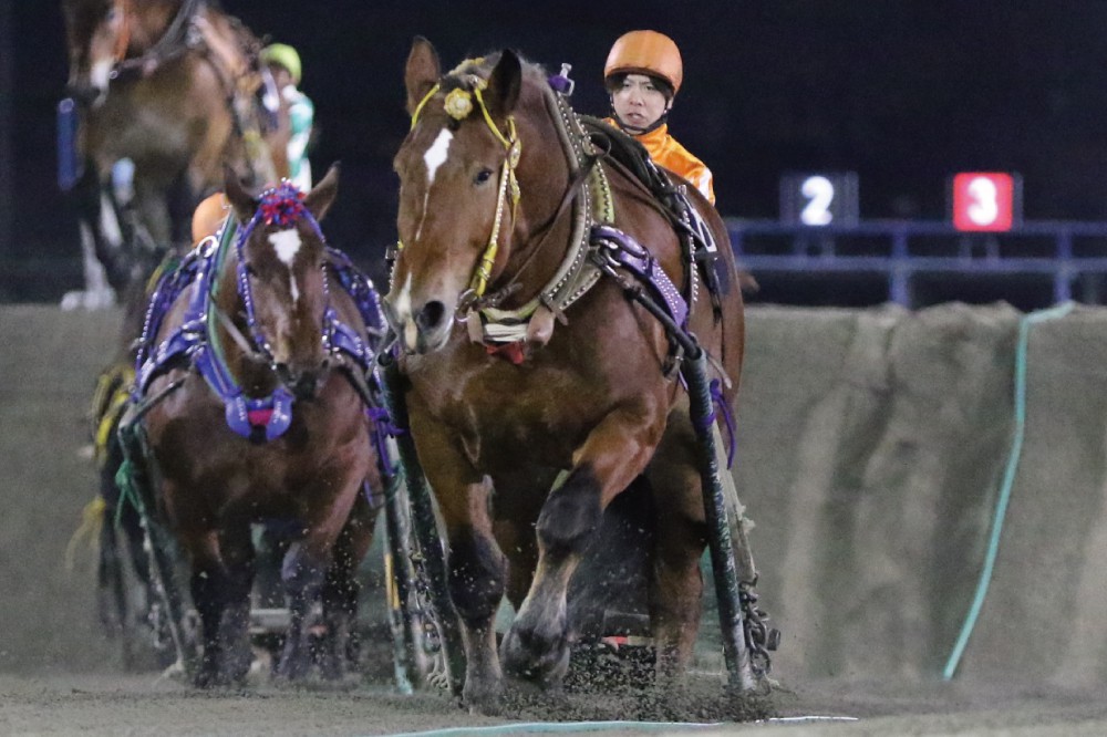 第46回ばんえい菊花賞」（BG2）の結果 | 【公式】ばんえい十勝