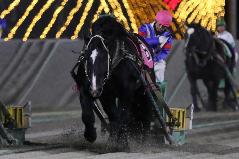 11月28日（日）ばんえい競馬 開催日です | 【公式】ばんえい十勝