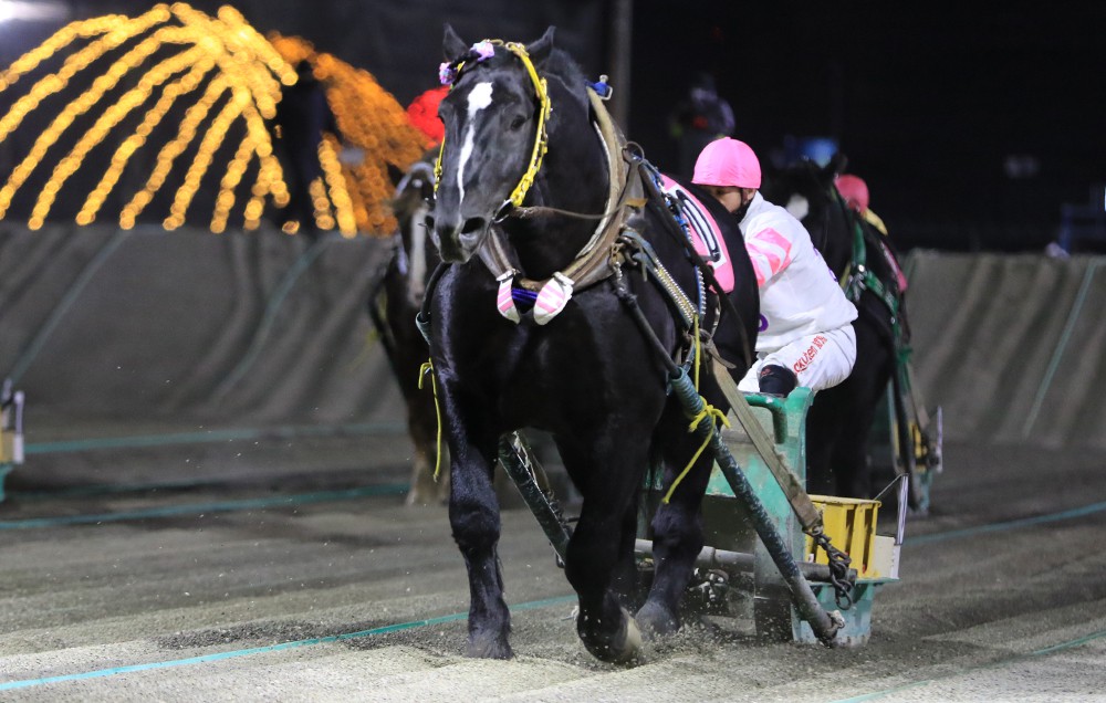 ばん馬の戦場―北海道ばんえい競馬追跡行 (MIZUKI NONFICTION S 5月2日（日）ばんえい競馬 開催日です | 【公式】ばんえい十勝
