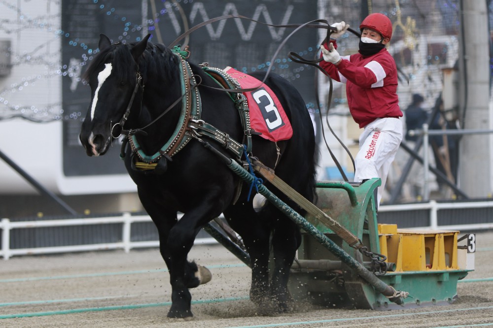 12月12日（日）ばんえい競馬 開催日です | 【公式】ばんえい十勝