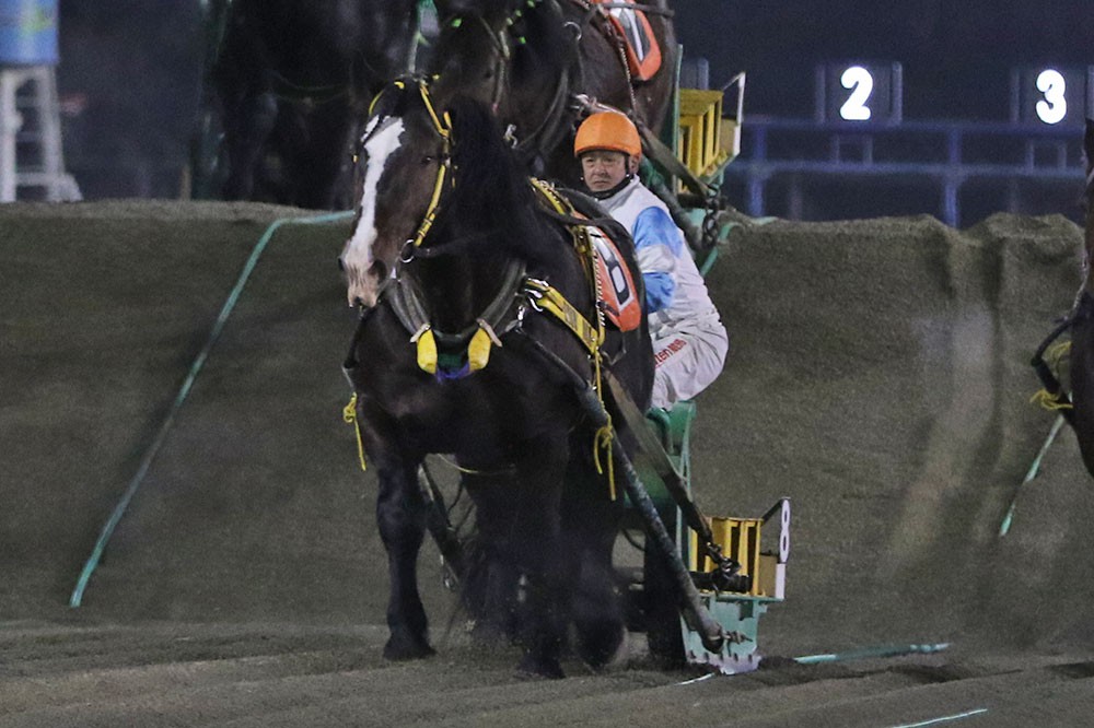 新品　未開封　ばんえい競馬　十勝　ばんえいグランプリ　法被　和　祭り　日本　赤 新品 未開封 ばんえい競馬 十勝 ばんえいグランプリ 法被 和