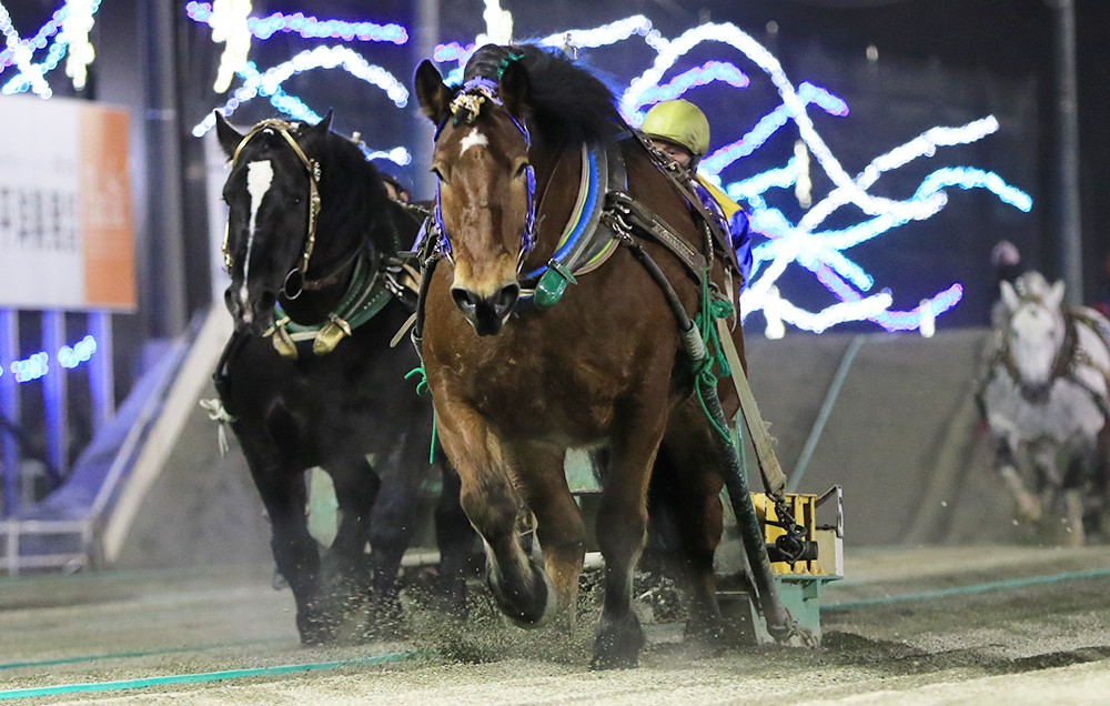 1月29日（土）メインレース騎手コメント アアモンドグンシン号