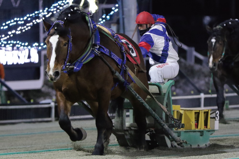 1月30日 日 ばんえい競馬 開催日です 公式 ばんえい十勝