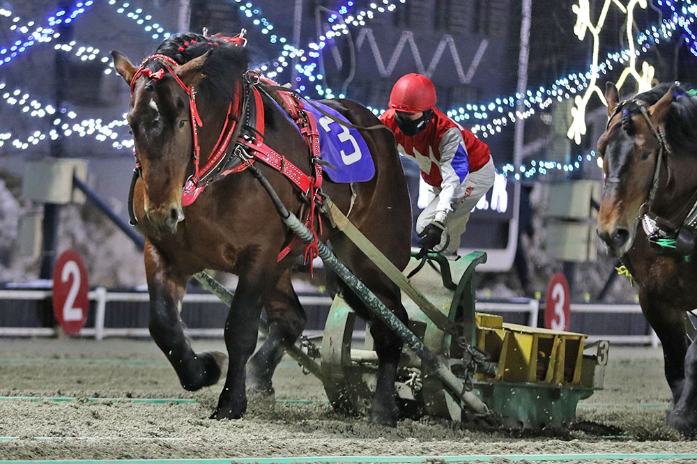 2月21日 月 メインレース騎手コメント トワトラナノココロ号 公式 ばんえい十勝