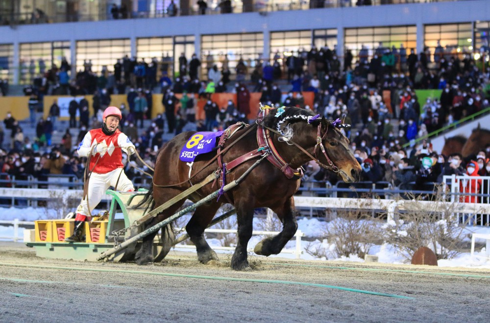 第54回ばんえい記念」（BG1）の結果 | 【公式】ばんえい十勝