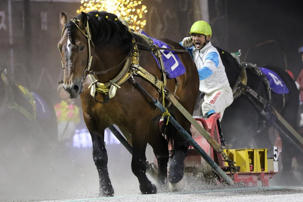 8月22日（月）メインレース騎手コメント マツカゼウンカイ | 【公式