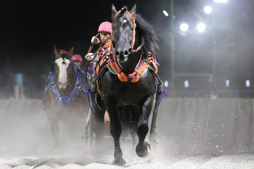 10月2日（日）メインレース騎手コメント ヤマカツエース号 | 【公式