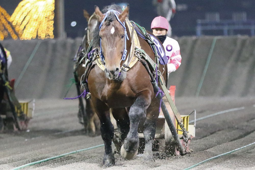 11月19日（土）メインレース騎手コメント マサタカラ号 | 【公式