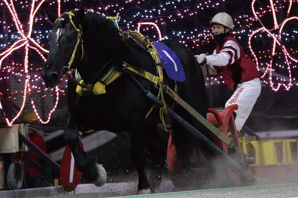 4月23日（日）メインレース騎手コメント インビクタ号 | 【公式