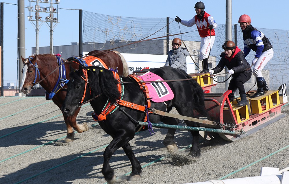 ○バン馬沸闘宣言 北海道市営競馬組合テレカ - プリペイドカード