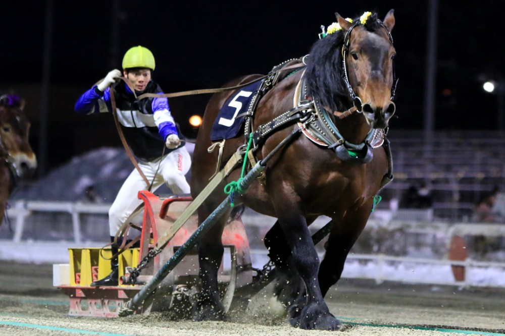 第45回チャンピオンカップ」（BG2）の結果 | 【公式】ばんえい十勝