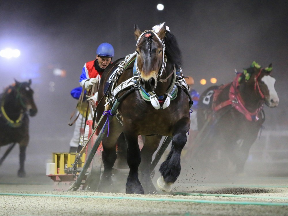 第45回ポプラ賞」（BG3）の結果 | 【公式】ばんえい十勝