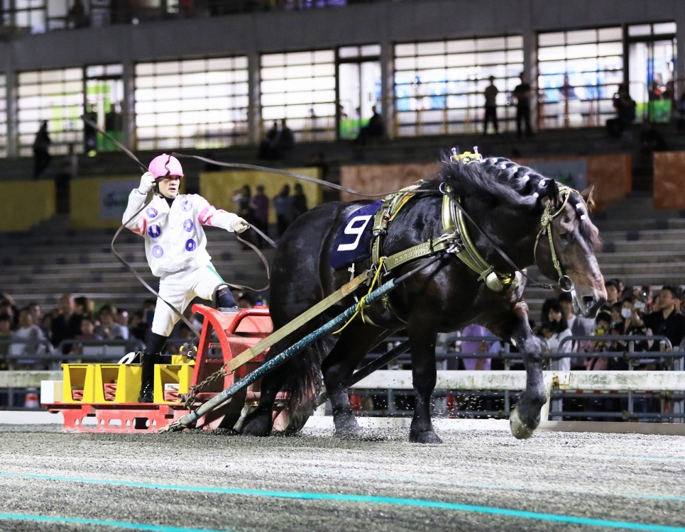 第61回岩見沢記念」（BG2）の結果 | 【公式】ばんえい十勝