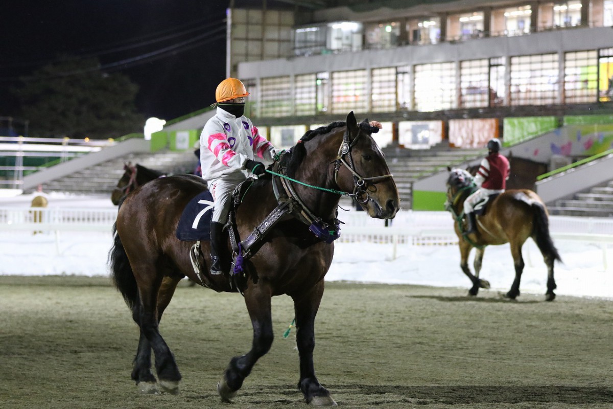 最も欲しかった 競馬壁紙スマホ 無料ダウンロードhd壁紙画像