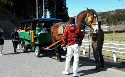 引退馬、福島県でまだまだ現役！