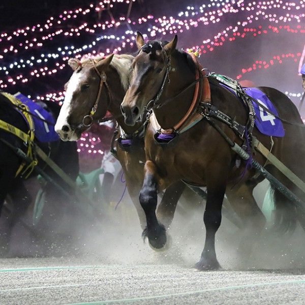 5月4日 月 メインレース騎手コメント アオノブラック 公式 ばんえい十勝