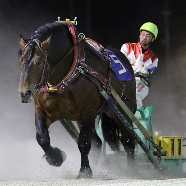 6月7日 日 メインレース騎手コメント メジロゴーリキ 公式 ばんえい十勝