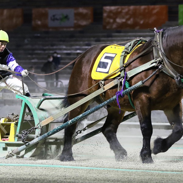 3月8日 月 ばんえい競馬 開催日です 公式 ばんえい十勝