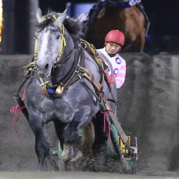 6月21日 月 ばんえい競馬 開催日です 公式 ばんえい十勝