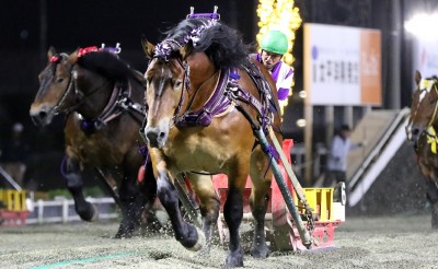 「第36回ばんえいグランプリ」（BG2）の結果