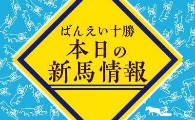 8/12　新馬情報