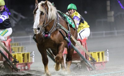 中原蓮騎手　初勝利