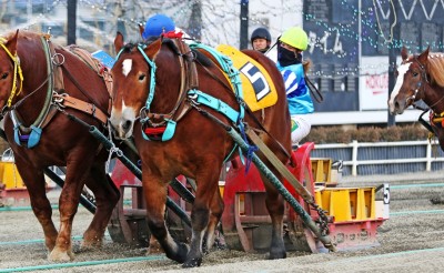 今井千尋騎手　地方競馬女性騎手の年度での最多勝記録を更新