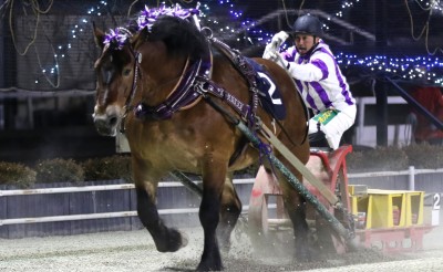 メムロボブサップ号　ばんえい競馬歴代記録更新