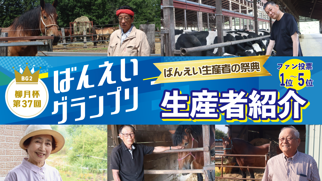 ファン投票1位～4位
