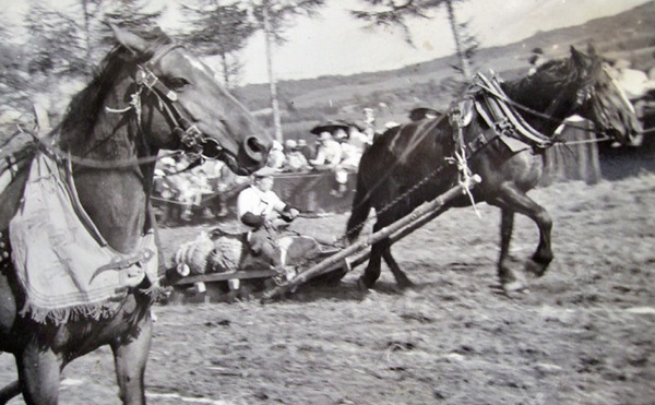 各地で開かれていたお祭りばん馬